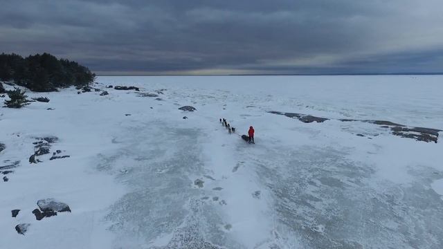 #За северным ветром (Часть 1) смотреть онлайн