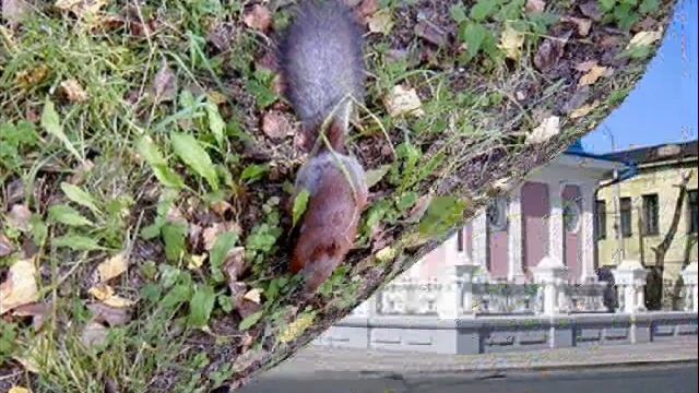 Мой Томск смотреть онлайн