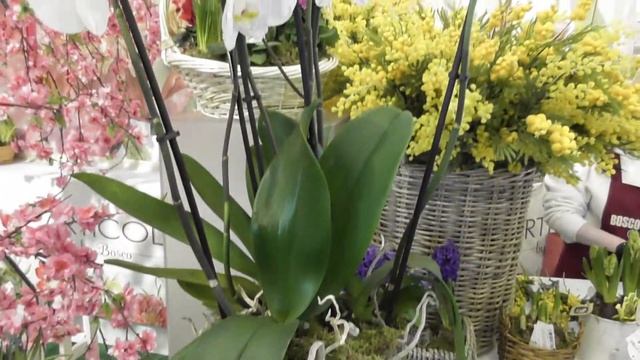 ГУМ весна 2022 смотреть онлайн