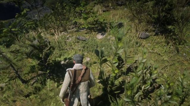 Найдены исчезающие камни в Red Dead Redemption 2 смотреть онлайн