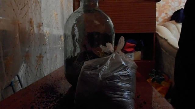 Замкнутая эко-система своими руками смотреть онлайн