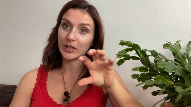 100% работает ✅Секретная Техника Исполнения Желаний смотреть онлайн