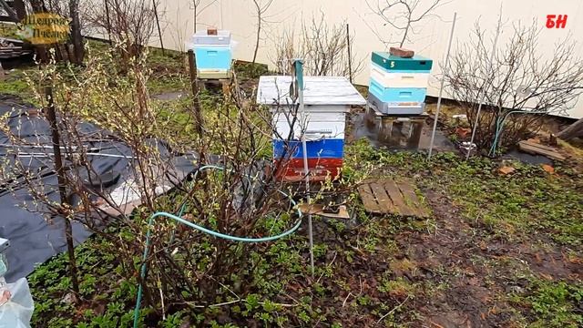 итог зимовки на полных корпусах смотреть онлайн