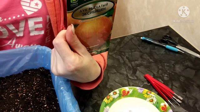 Лук Эксибишен посев семян смотреть онлайн