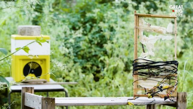 The Beekeeper Making Electronic Music With Bees смотреть онлайн