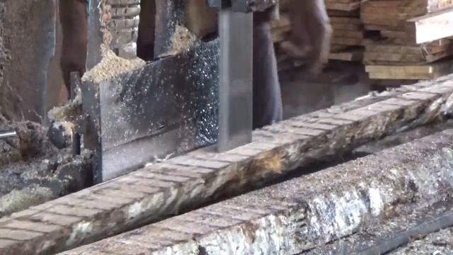 woodworking,menggergaji kayu bengkok di sawmill hasilkan untung puluhan juta смотреть онлайн