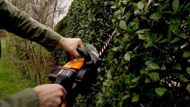 WORX WG284E 40 V BELAIDĖS GYVATVORIŲ ŽIRKLĖS - LT Lietuvių - www.worx.com смотреть онлайн