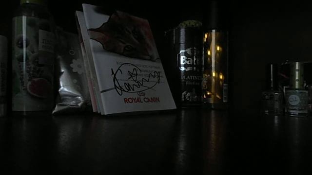 Все о породе руского той терьера 3 часть смотреть онлайн