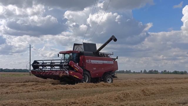 Уборка пшеницы/class leksion 580,2x палессе gs12A1PRO, gs12PRO. смотреть онлайн