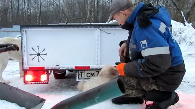 Вечерами в гараже - шкуры, прицеп и полезности смотреть онлайн