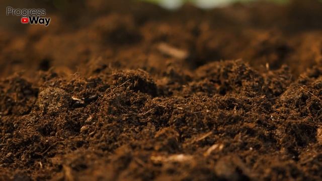 Когда сажать картофель? Не пропустите подходящий момент! смотреть онлайн