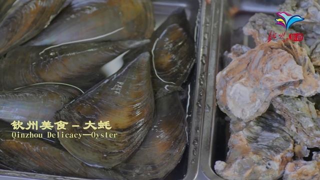 钦州旅游宣传片 Qinzhou, Guangxi Province promotional video смотреть онлайн