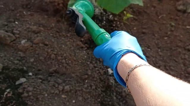 На даче? Мариную мясо? Борьба с вредителями на смородине? Подвязываю огурцы? Будни мамы vlog смотреть онлайн