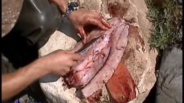 Ультралайт на таежной речке. смотреть онлайн