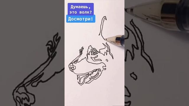 Самый быстрый способ, как нарисовать овчарку. Как нарисовать портрет овчарки #Shorts смотреть онлайн