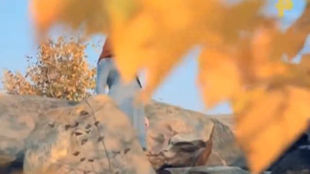 Тайны Чапман Живая вода В поисках бессмертия HD смотреть онлайн