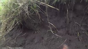 ШУРФ РАЗВАЛИН. НАШЕЛ ЗОЛОТОЙ ПЕРСТЕНЬ! ПОИСК ЗЛАТА СЕРЕБРА.