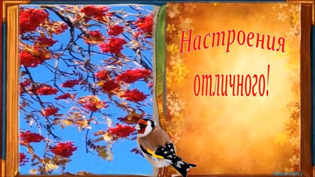 #Маленькиеоткрытки Доброго вам утра! смотреть онлайн