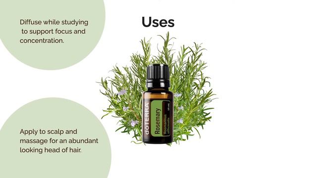 doTERRA Rosemary Essential Oil- DEOWA Academy смотреть онлайн