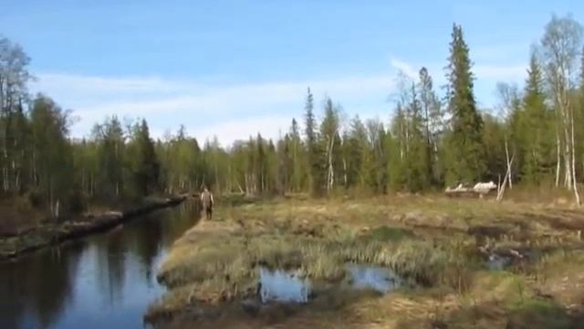 По Болоту Лучше.AVI смотреть онлайн