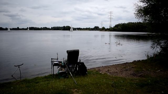 Крупный лещ на новом месте.