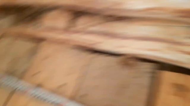 Собираем жуков/Поругалась с мужем/Делаем полки в бане смотреть онлайн