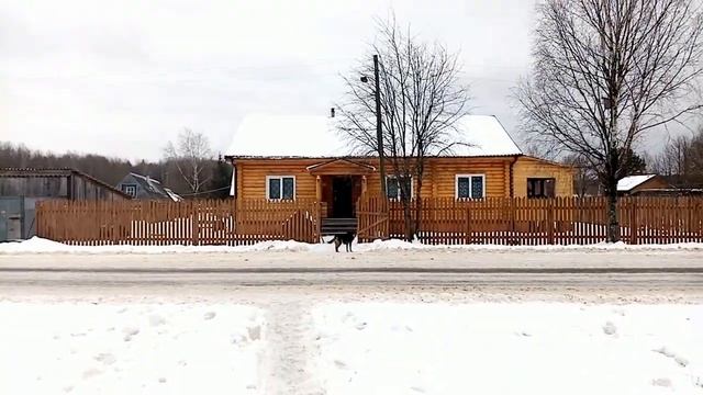 Дал себе работу, ремонт трактора. смотреть онлайн