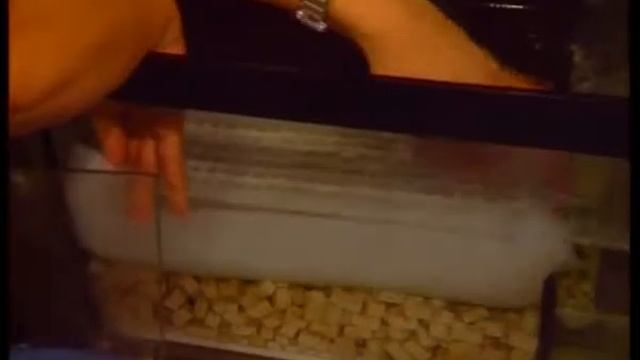 Подводное царство аквариума диск 3 смотреть онлайн