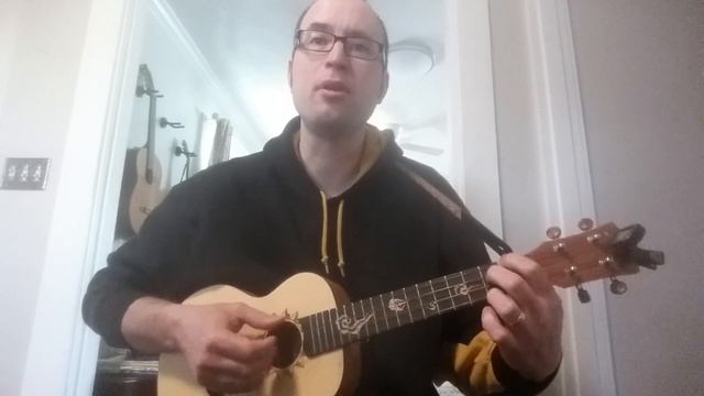 I Don't Want to Live on The Moon: Ukulele Cover смотреть онлайн