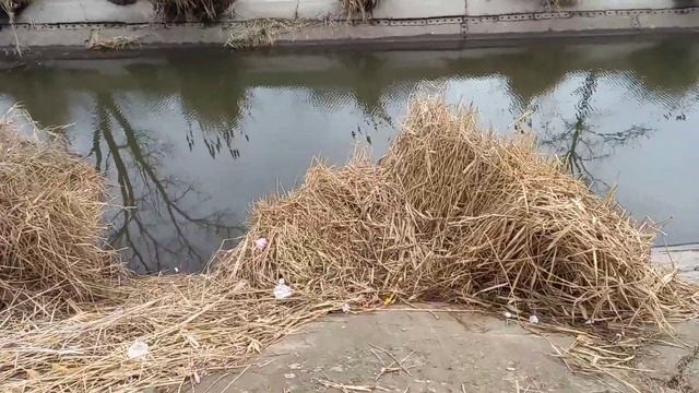 Рыбалка на маховую удочку среди зимы.Рыбалка зимой 2021 смотреть онлайн