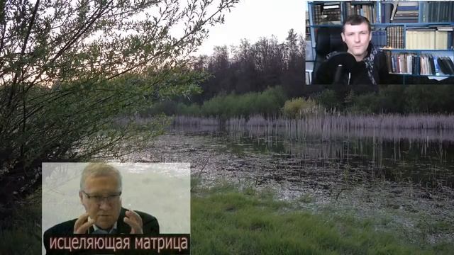 Матрица Гаряева Полное Исцеление Всего Организма смотреть онлайн