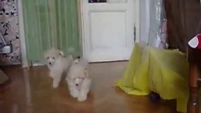 Не угнаться.AVI смотреть онлайн