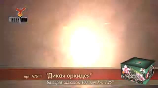 дикая орхидея смотреть онлайн