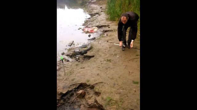 рыбалка на Которосли смотреть онлайн