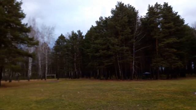 Тюмень! Плехановский бор смотреть онлайн