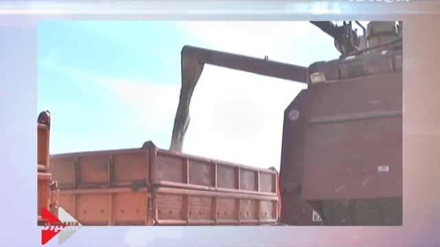 БУДНИ 16 11 2015 смотреть онлайн