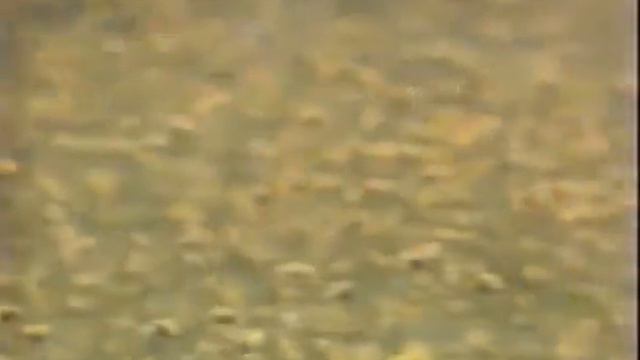 1990's COMMERCIALS Retro Commericals смотреть онлайн