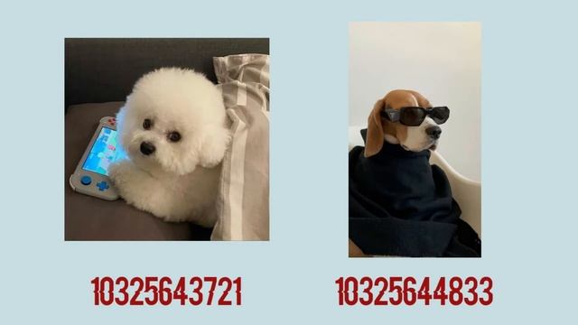 roblox dog decal id's смотреть онлайн