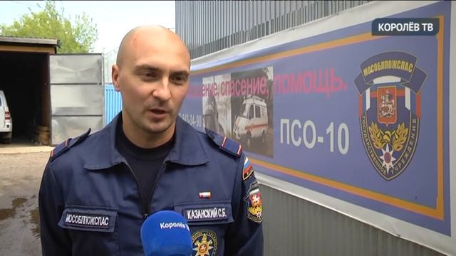 В Королёве спасатели поймали калифорнийскую королевскую змею смотреть онлайн