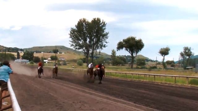 10 ЖИВОТНЫХ которые быстрее чем ваш автомобиль | Самые быстрые животные в мире смотреть онлайн