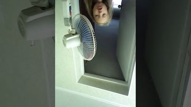 Мой любимый вентилятор!!!)))}))) смотреть онлайн