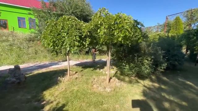 Ангелина обьясняет детям ПОЧЕМУ нельзя трогать Люсю))) АнгеЛюсики в Тайгане! смотреть онлайн