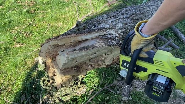 Real Time Demo Of The Ryobi 40V Chain Saw Cutting 13