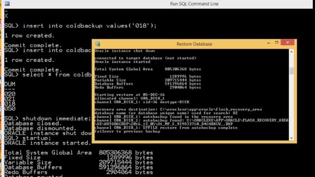 Recovery Oracle смотреть онлайн