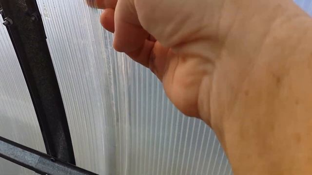 20 сентября.Урожай собран)))Мою теплицу.