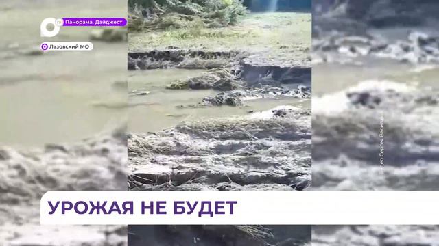 Жители затопленных сёл восстанавливают хозяйство смотреть онлайн