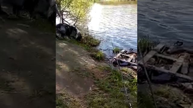 прогулка на природе 6 смотреть онлайн