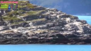 Музыка 1 класс. Урок 30. Тема: Проснись и пой!