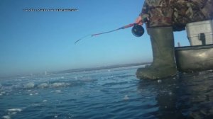 Ловля судака  зимой, на мормышку  с мальком 14.01.2018  Саратов.