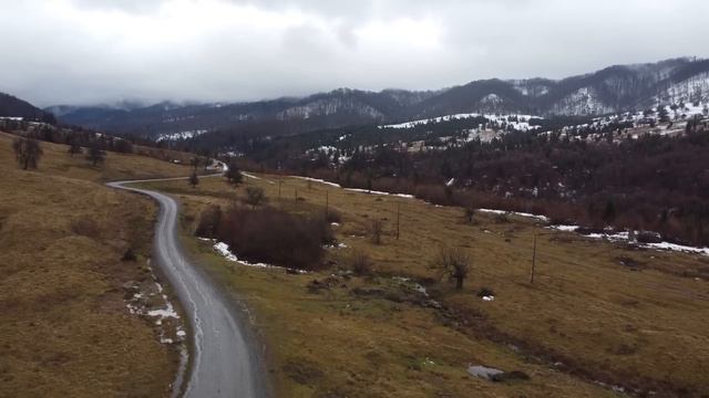 Кормящая собака приняла дикого волчонка как родного, не подозревая как он ей отплатит смотреть онлайн